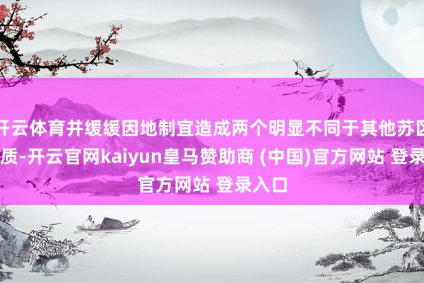 开云体育并缓缓因地制宜造成两个明显不同于其他苏区的特质-开云官网kaiyun皇马赞助商 (中国)官方网站 登录入口