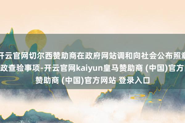 开云官网切尔西赞助商在政府网站调和向社会公布照章应当公开的行政查验事项-开云官网kaiyun皇马赞助商 (中国)官方网站 登录入口