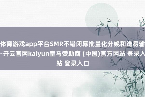 体育游戏app平台SMR不错闭幕批量化分娩和浅易输送-开云官网kaiyun皇马赞助商 (中国)官方网站 登录入口