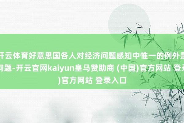 开云体育好意思国各人对经济问题感知中惟一的例外是休闲问题-开云官网kaiyun皇马赞助商 (中国)官方网站 登录入口