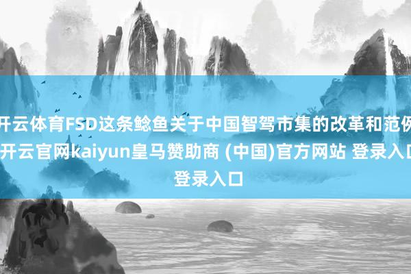 开云体育FSD这条鲶鱼关于中国智驾市集的改革和范例-开云官网kaiyun皇马赞助商 (中国)官方网站 登录入口